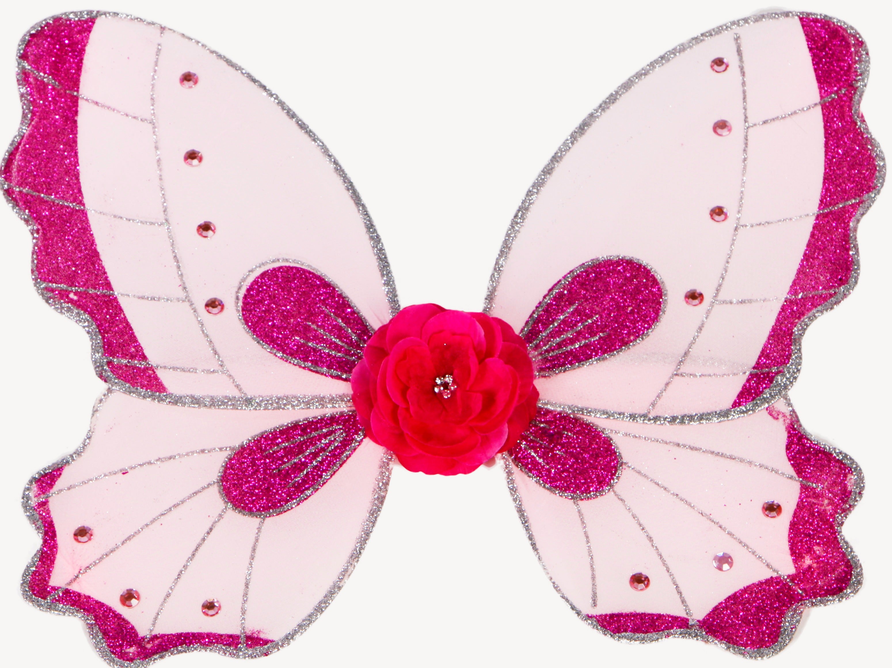 Fairy Wings Princess Wings - Fairy Finery