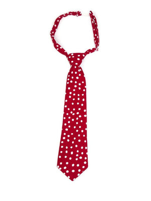 Fly Guy Kids Neckties - Fairy Finery