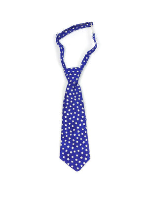 Fly Guy toddler necktie in royal blue with silver stars print